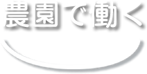 農園で働く