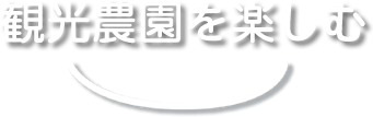 観光農園を楽しむ