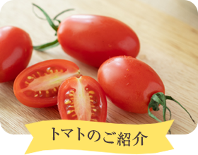 トマトのご紹介