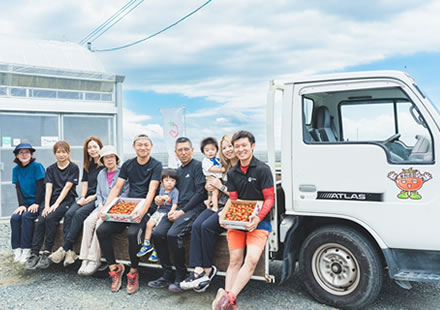 「トマ・ランタン」の栽培・管理・収穫