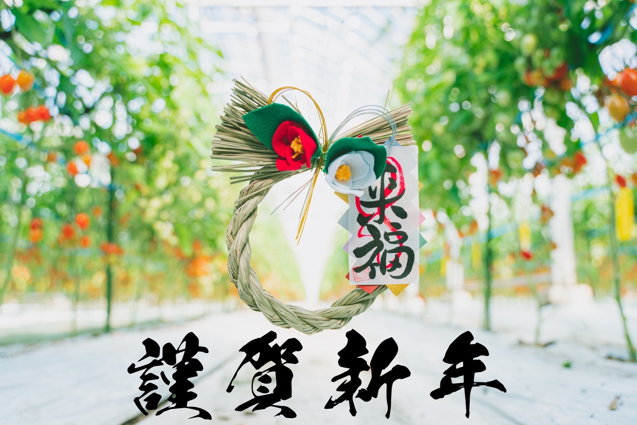 新年のご挨拶｜2026年も美味しいミニトマトをお届けします